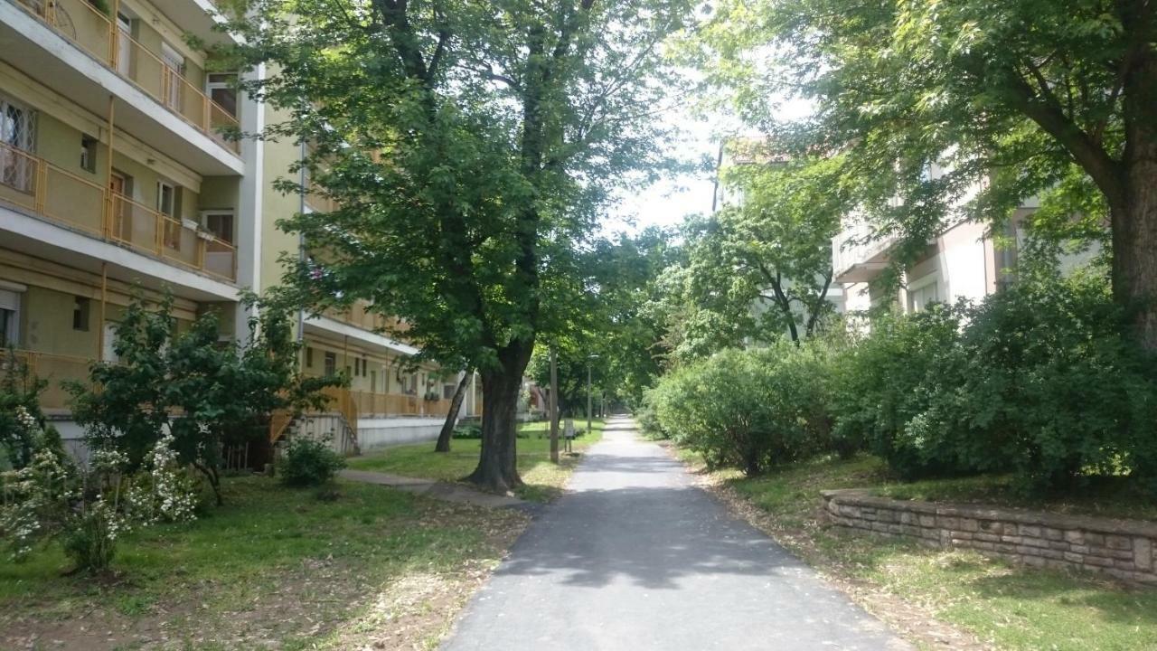 Koroesi Apartman Pécs Zewnętrze zdjęcie